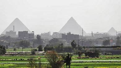 الدمار يهدد أهم محاصيل مصر